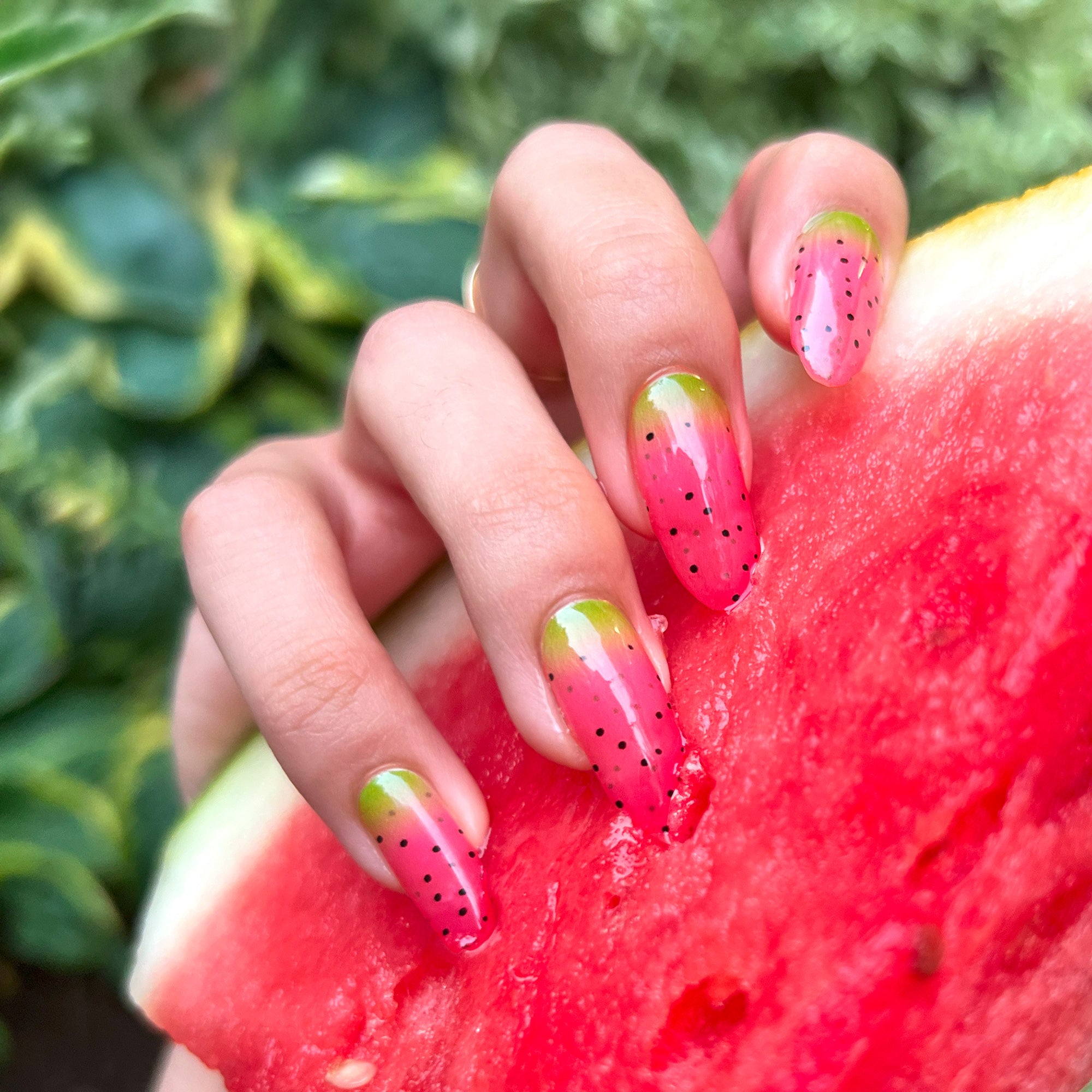watermelon sugar